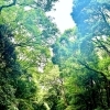 フットケア　50分【足浴・足の洗浄・ハーブティ付き🌿】