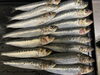 新鮮な魚介を毎日店内で調理しております「おすすめランチメニュー　」