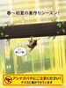 春～初夏の巣作りシーズン「春〜初夏の巣作りシーズン到来！アシナガバチ・スズメバチにご注意を」