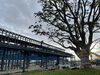 いろは蔵パーク　鉄骨建方工事「いろは蔵パーク建設工事日記～2024.09～」