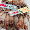 「魚魚市場鮮魚コーナーおすすめは「ノドグロ・天然鯛」です♪」