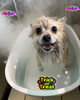 カシミアタッチトリートメント中♡「可愛い子ちゃん♡ Dog salon mofu mofu 余市町」