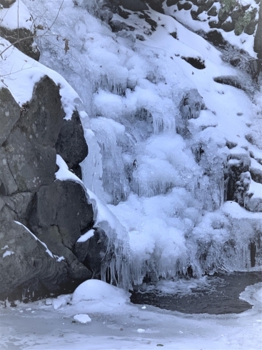 滝の途中、凍結「【観光情報】白猪の滝、氷瀑しています！」