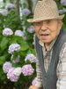 「綺麗じゃのう」「紫陽花を見に行きました。」