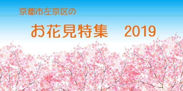 京都市左京区のお花見スポット紹介2019 京都のお花見特集 In 左京 北区 まいぷれ 京都市