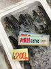 「魚魚市場鮮魚コーナーおすすめは「クロムツ・イカ」です♪」
