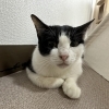 新しいご家族の元へ