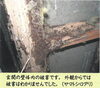 「シロアリの被害例です」