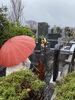 我が家の墓です「桜と雨 千葉のアンティークショップ アンティークDEN」