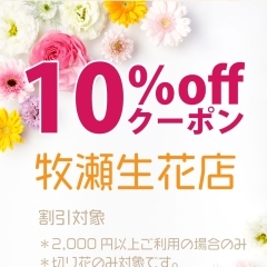 切り花 10％OFF