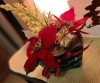 「”ほぐし屋本舗”も　”Merry Christmas”　バージョン‼」