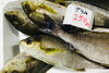 「魚魚市場鮮魚コーナーおすすめは「ハコエビ」入荷しました！」