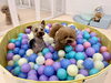 やっぱりクーくんいい湯だな♨️スタイル　笑「ましゅまろ幼稚園🐾」