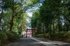納涼大宮天神 こどもまつり  7月 24日 18:00～　 25日 17:30～    