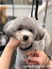 カット中〜「秋のオプションキャンペーン　^ - ^」