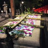 ライトアップした花手水。20：00頃。「花手水（はなちょうず）ＩＮ　住吉神社　②」