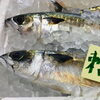「魚魚市場鮮魚コーナーおすすめは「赤マテ貝・サバ」です♪」