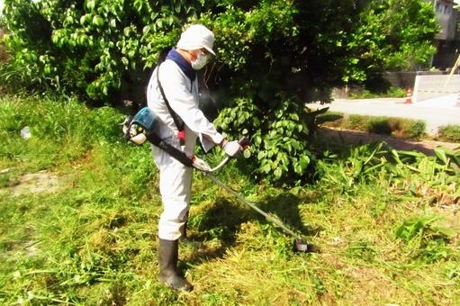 除草、伐採剪定のサービスが好評です。自宅の庭や空き家、空き地の草刈りでお困りではありませんか？ 草刈り・伐採・草むしり・防草など対応可能！ | 激安 草刈り伐採剪定キレイ新居浜店のニュース | まいぷれ[新居浜市]