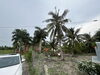 候補地の視察「Chúng tôi đã tổ chức một chuyến tham quan mua bán bất động sản tại Long An, Việt Nam cho các chủ sở hữu bất động sản người Nhật Bản.」