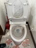 before「トイレも綺麗に」