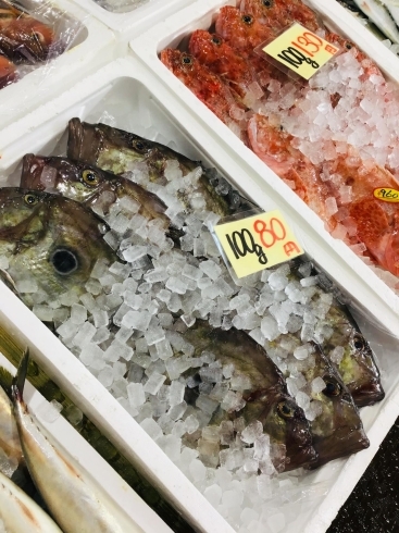 「西海物産館 魚魚市場鮮魚コーナーおすすめ商品は「牡蠣の特売明日迄！」」