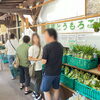 「8月土日・祝日は、『高原とうもろこし』屋外特設会場にて販売します！」