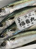 「本日岩牡蠣販売中‼️」