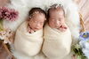 「双子ちゃんのニューボーンフォト♡バスケットで寄り添う“はじまり”の瞬間」