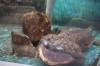 「暑い日は噴水広場＋水族館へ☀️ 週末は歩崎公園でのんびり遊ぼう🐟」