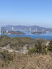 「早春の近見山登りました。」