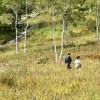「自然に寄り添い、自然に癒される入笠山」