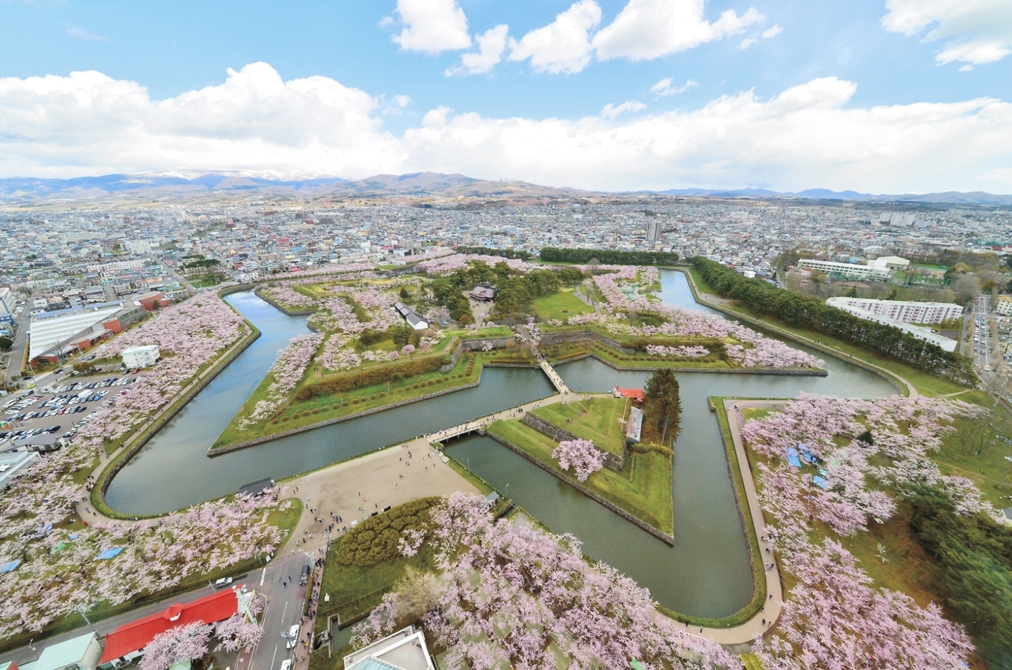 五稜郭公園・お花見スポット