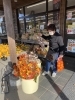 帰り道 農協の直売所で柿や綿の小枝を買いました「ズル休み(^^;; 西船橋のアンティークショップ」