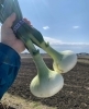 「美味しいお野菜をお届けします【採れたてご褒美便】」