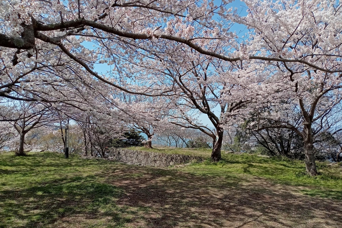 湊山公園　米子市西町