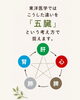 「なぜ処方ナッツは5種類？東洋医学の「五臓」とタイプ分けのお話」