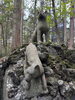 「三峯神社と秩父神社パワースポット巡り」