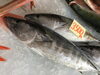 「魚魚市場鮮魚コーナーおすすめは「コシナガマグロ」です♪」