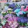 「【はなやホック皆生店】癒される花々」
