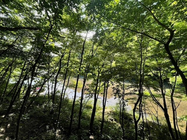 綺麗な川沿いでマイナスイオンを浴び、お肌キレイ！「夏休みは自然の中で過ごし「フィトンチッド効果」を味わいましょう！」