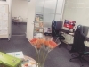 「本日から求職者支援訓練WEBクリエイターコースがスタートします💐」