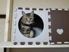 ころも ですp(^^)q「10/31(日)行方市常光院さんにて( *´艸)」