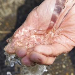 酒の井伝説の地で汲んだミネラルウォーター「酒々井の水」