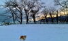「12/13 Good morning Otaru 」