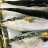 「魚魚市場鮮魚コーナーおすすめは「宮崎県産あゆ・チカメキントキ・ノドグロ」です♪」