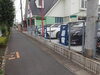 緑あふれる店内で、お車選びのひとときを。「福祉車両専門レンタカーの安心ポイントとご利用案内」