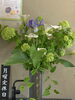 珍しいお花をお客さまより頂きました！！感謝です！「4月10日(月)  定休日です」