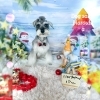 シュナウザー　モヒカン「🐩🎄年末営業時間延長のお知らせ🎄🐩」