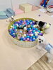 ボールプールで宝探し　ペチくんの表情⁇ 笑「ましゅまろ幼稚園🐾」