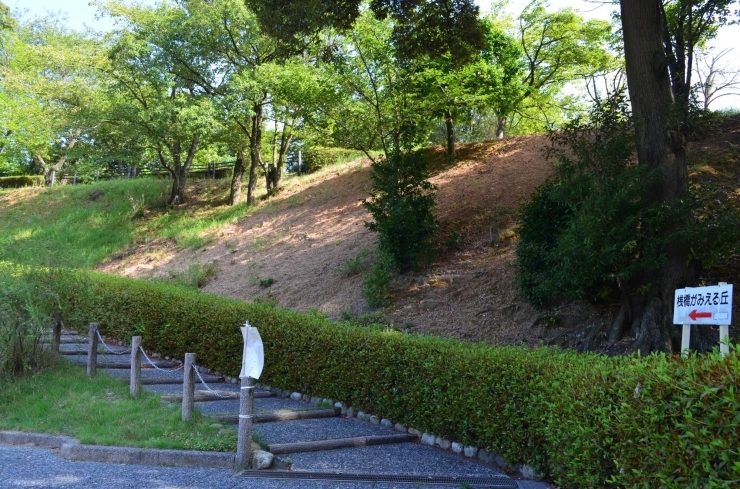 駐車場からも展望広場まで約８分。「引揚記念公園からの景色を紹介します！」